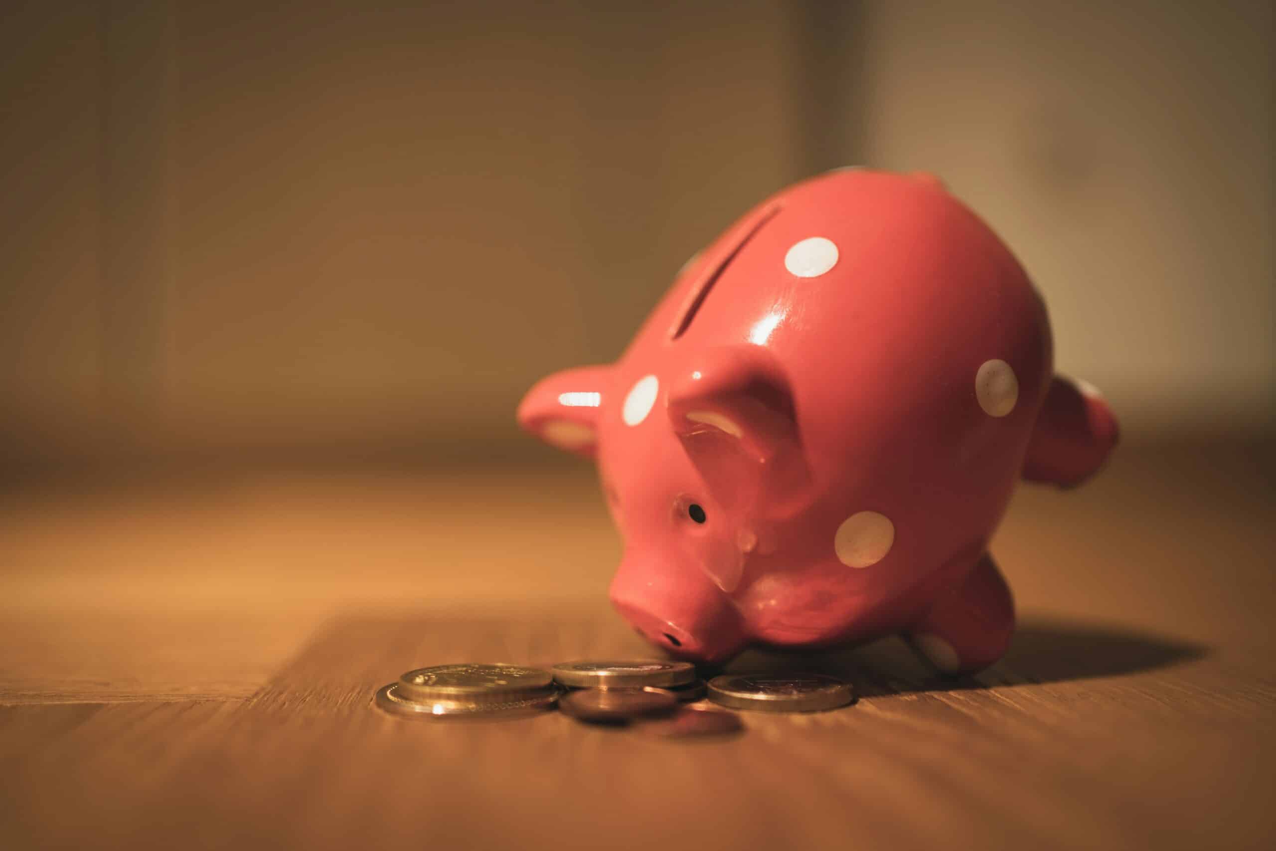 piggy-bank